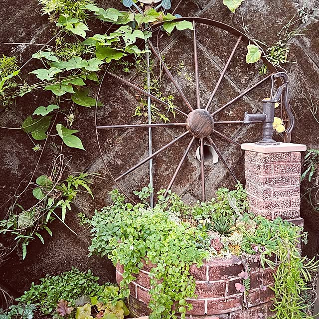 mocomocoさんの実例写真