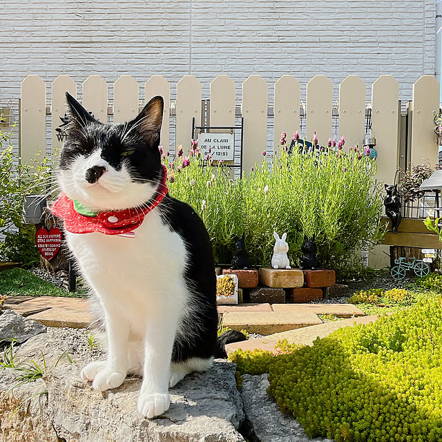 moolさんの部屋