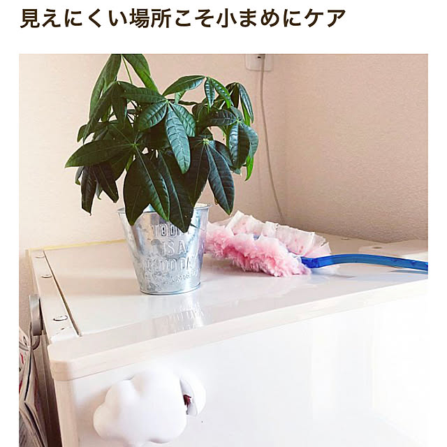 niko3さんの実例写真