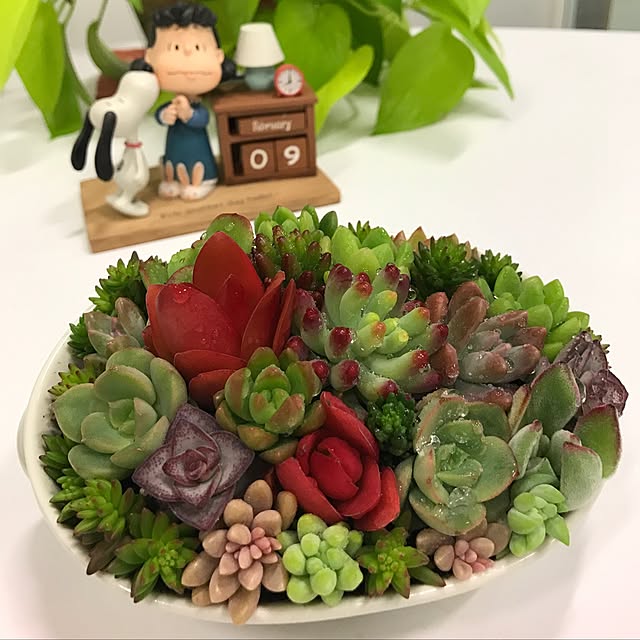 yokoさんの実例写真