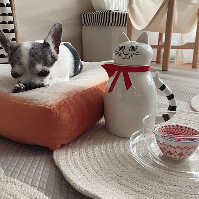 Emiさんの実例写真