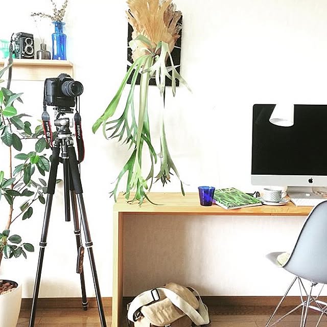 sk-8.さんの実例写真