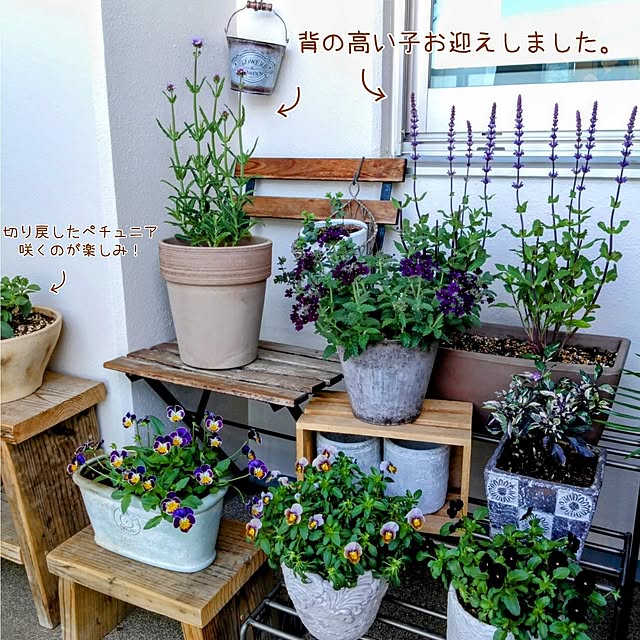 Petit_Pommierさんの実例写真