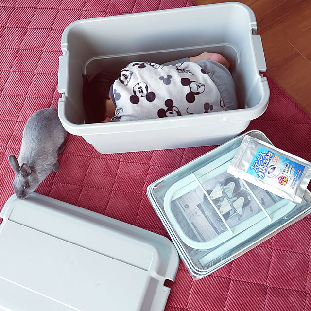 kirariさんの実例写真