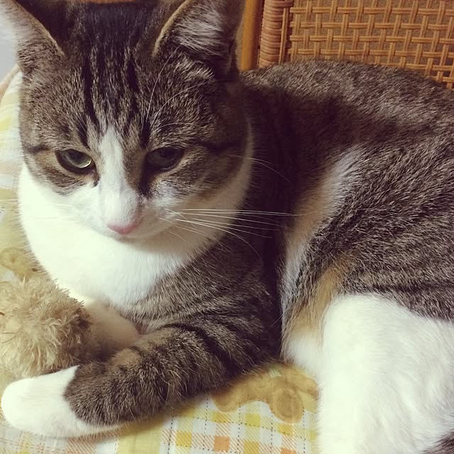 机のインテリア実例 - 2017-01-08 17:34:28