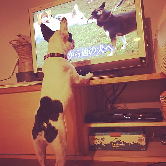 marikoさんの実例写真