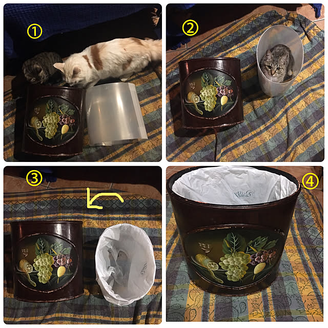 shigimiさんの実例写真