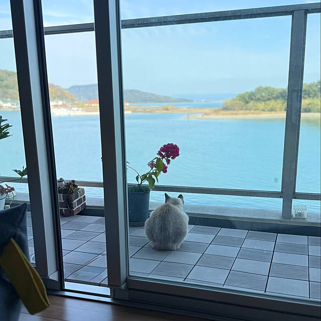 amさんの実例写真