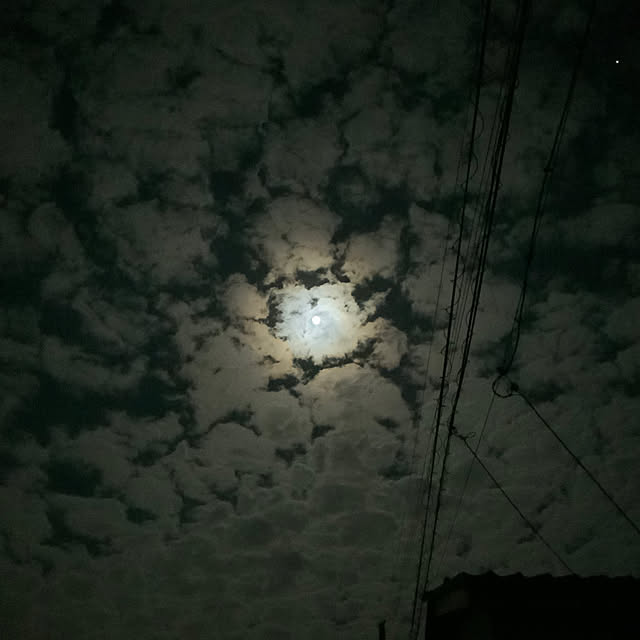 chiiyanさんの部屋