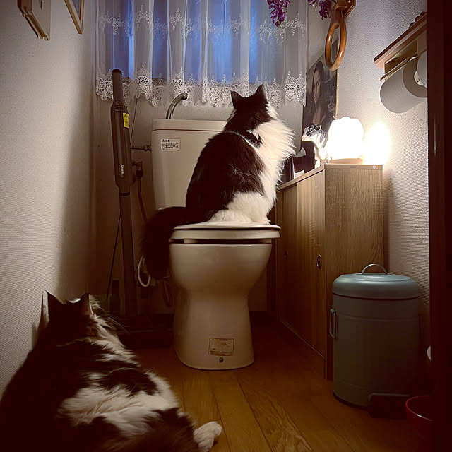 zerozerozeroさんの実例写真