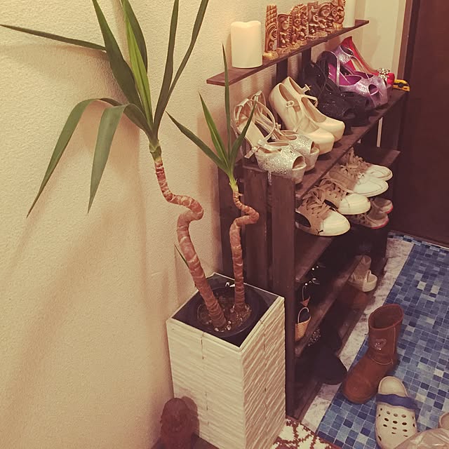 Rikakoさんの実例写真