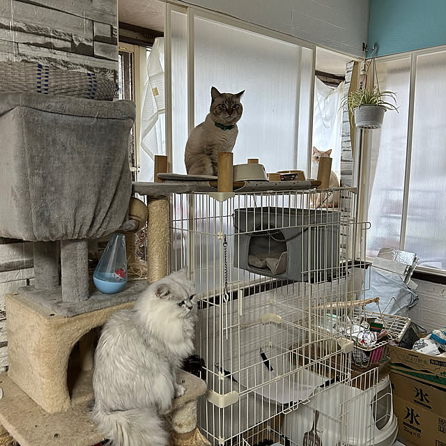 ikunyanさんの部屋