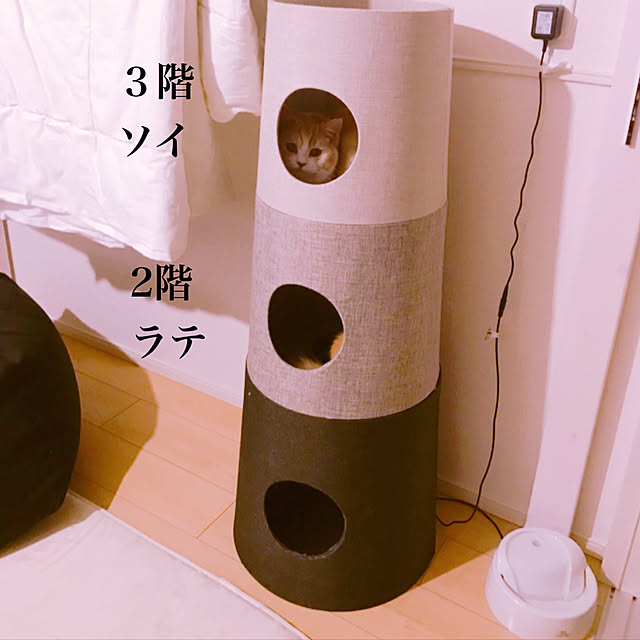 カインズホーム ネコタの商品を使ったおしゃれなインテリア実例 カインズホーム ネコタの商品を使ったおしゃれなインテリア実例