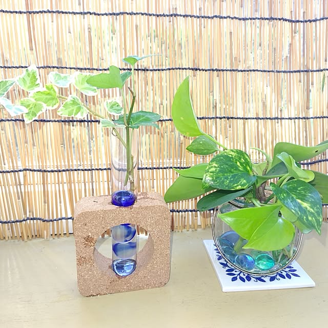 katさんの部屋