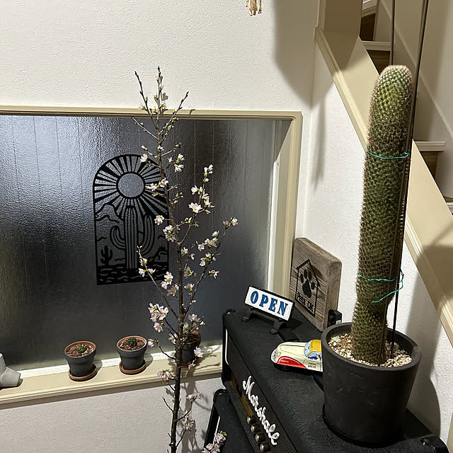 ywww69さんの部屋