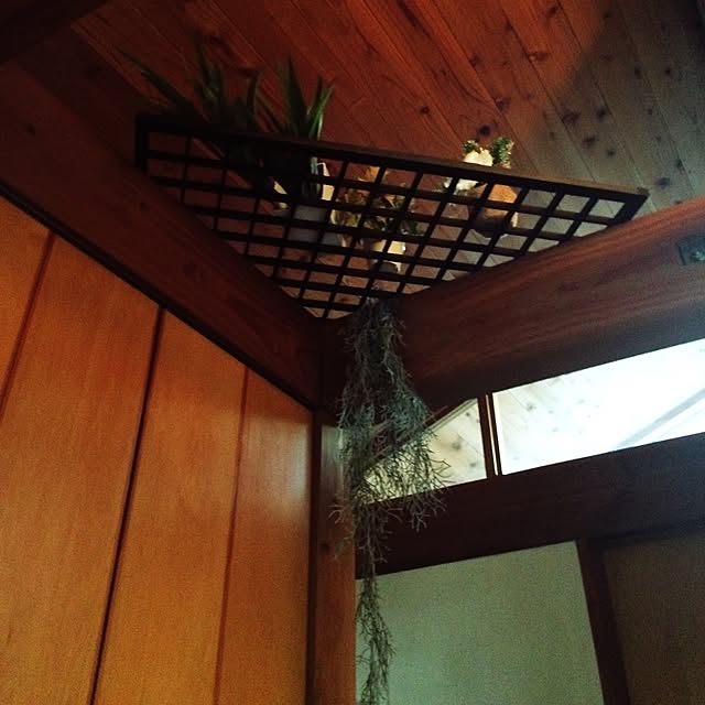 chacoさんの実例写真
