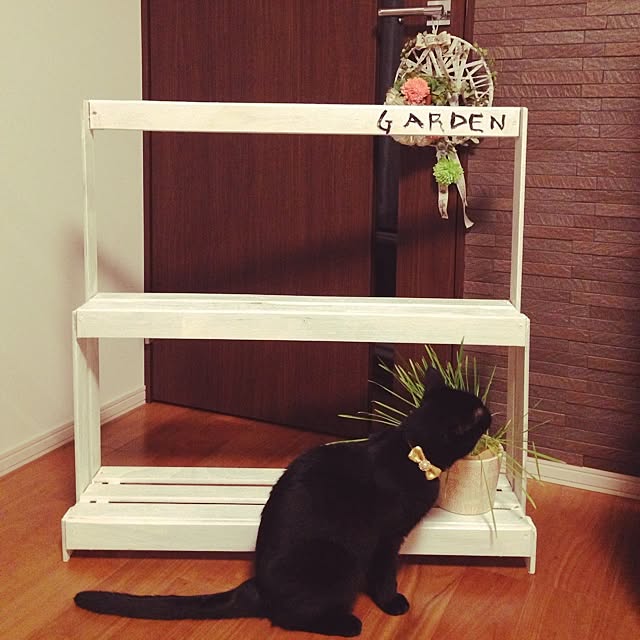 ALPSさんの実例写真