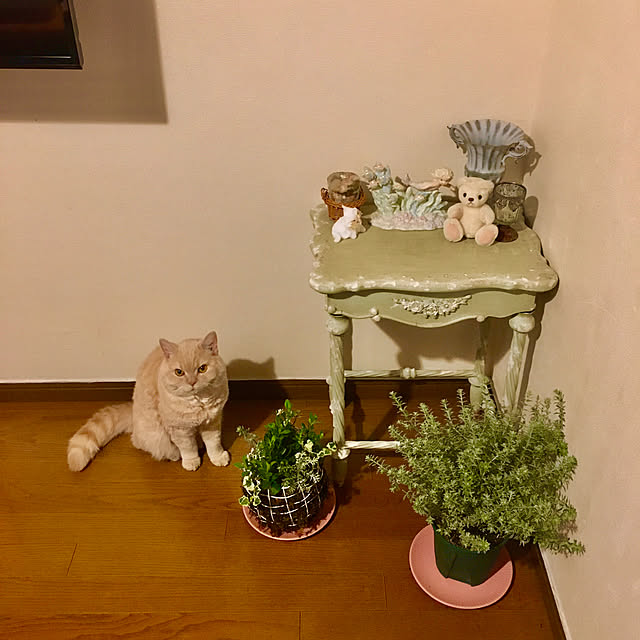 naokoさんの実例写真