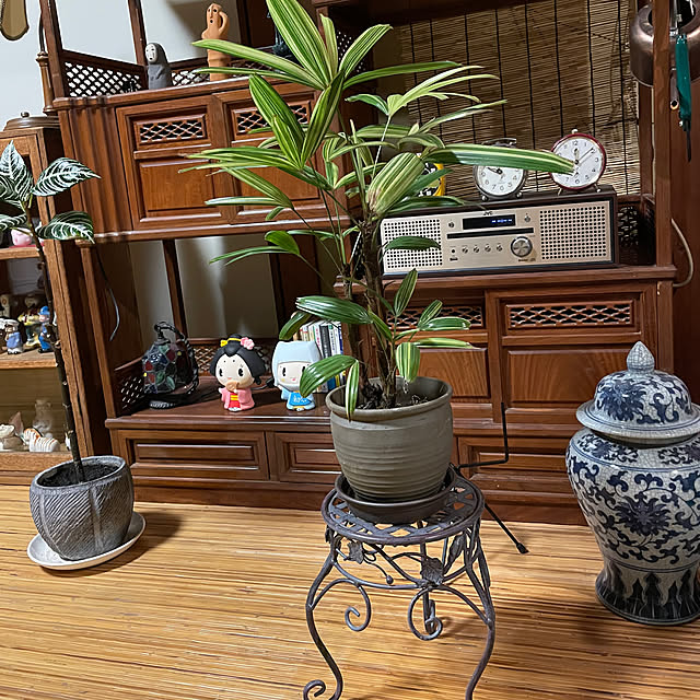 shin0719さんの部屋