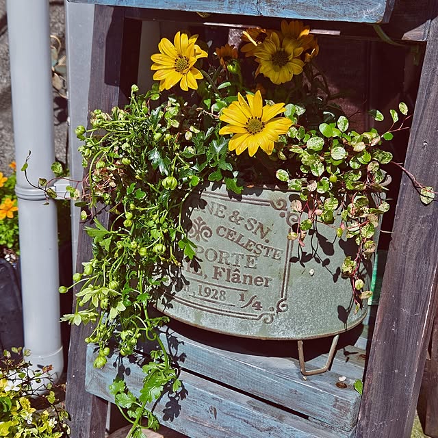 mocomocoさんの部屋