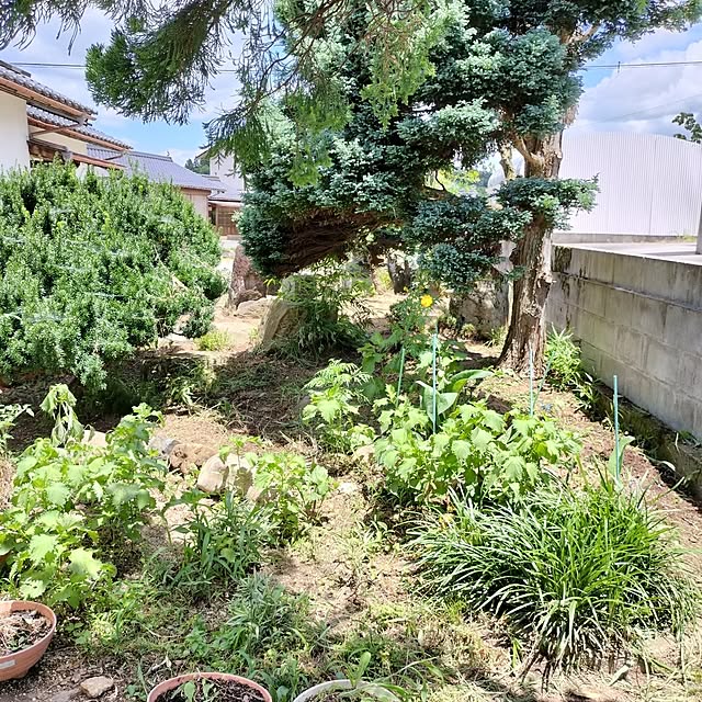 sumimarumiさんの部屋