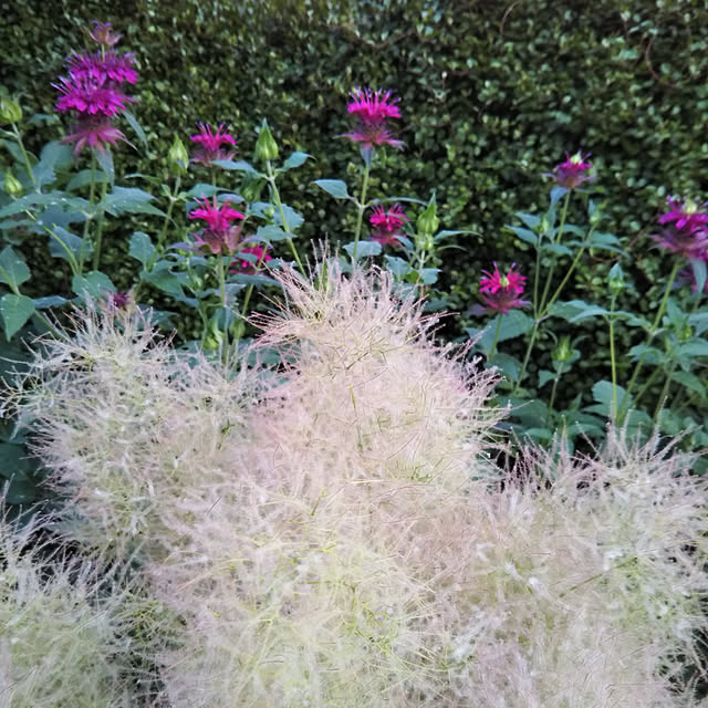 yukkoさんの実例写真