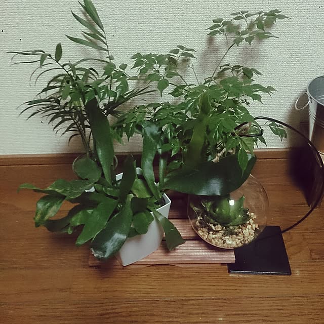 aiさんの実例写真
