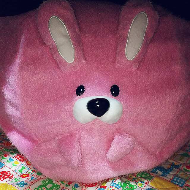 cherrycherryさんの実例写真