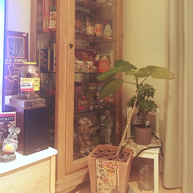 MARIさんの実例写真