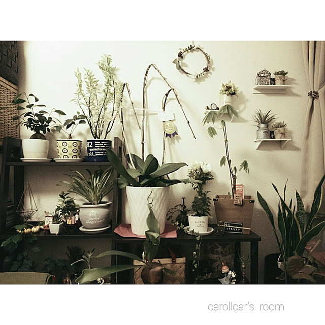 carollcarさんの実例写真