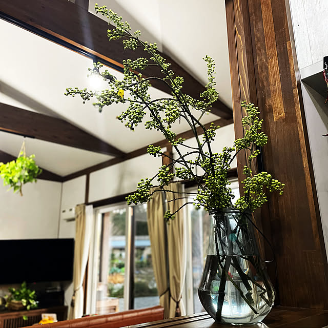 フラワーベース/カフェ風/多肉植物/犬のいる暮らし/ドライフラワーのある暮らし...などのインテリア実例 - 2022-12-26 17:19:17