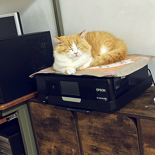 junさんの実例写真
