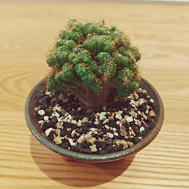 haruさんの部屋