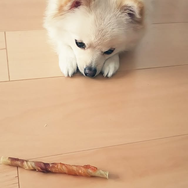 yuki15さんの実例写真