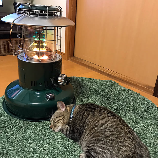 mikan161さんの実例写真