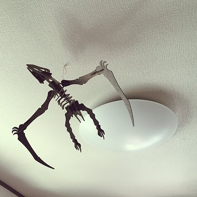 r_ikaroさんの実例写真