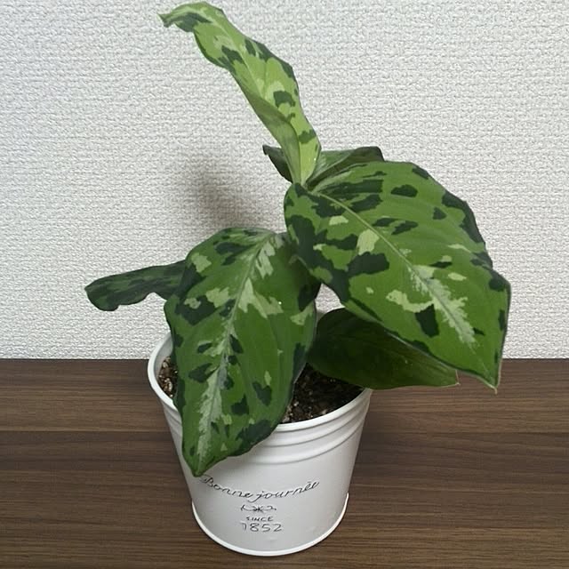 nagoさんの実例写真