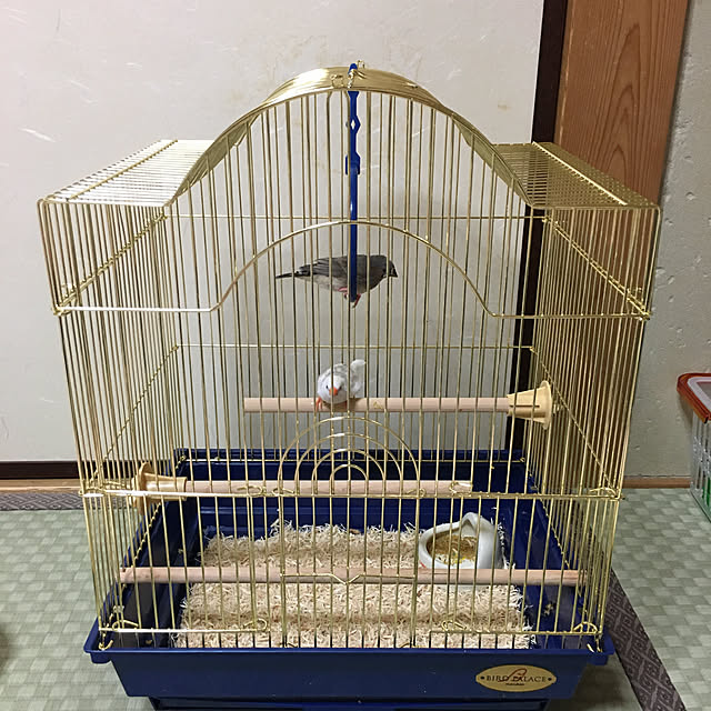 koroさんの実例写真