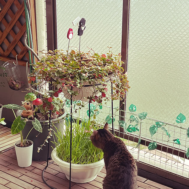 masaさんの実例写真