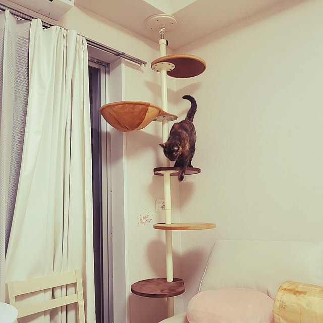 JIHYEさんの実例写真
