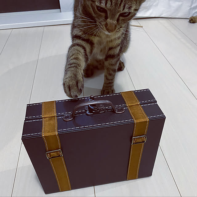 necomuraさんの実例写真