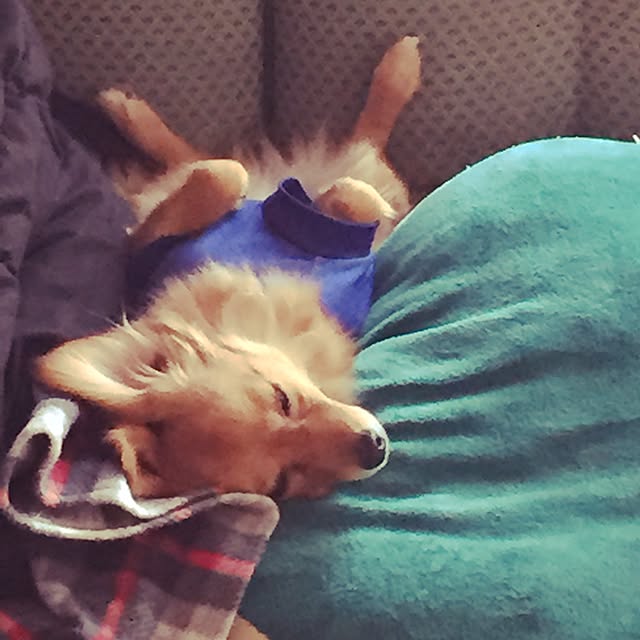 saichanさんの実例写真