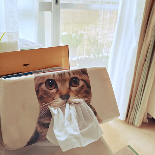 NOAHさんの部屋