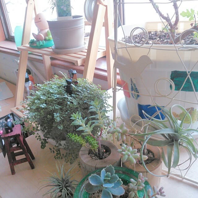 実例写真