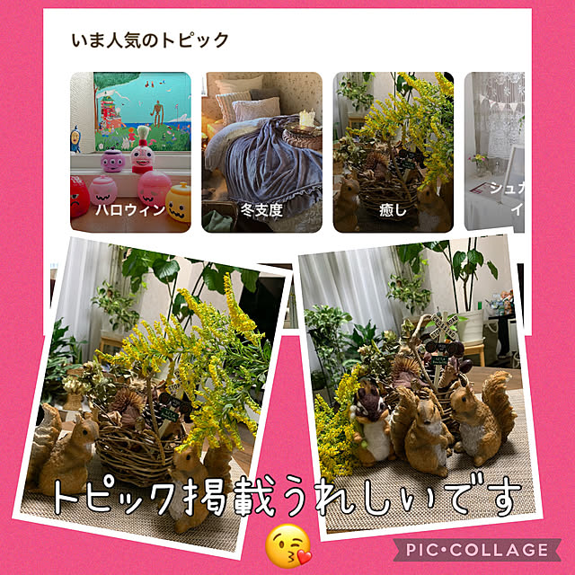 Aqettyさんの実例写真