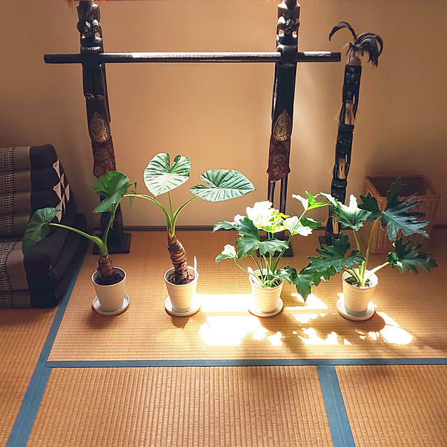 yumiyumiさんの実例写真