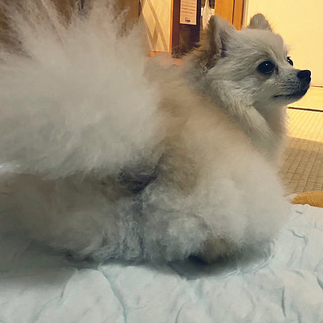 1546さんの部屋