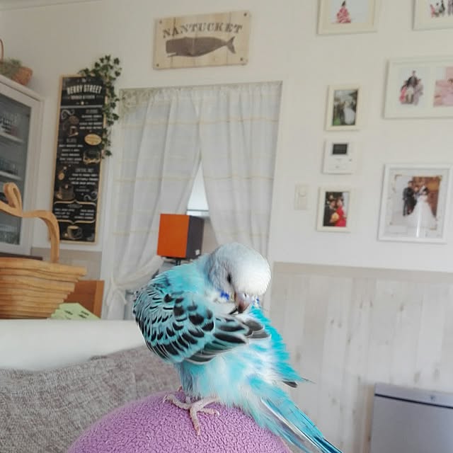 yukkieさんの実例写真