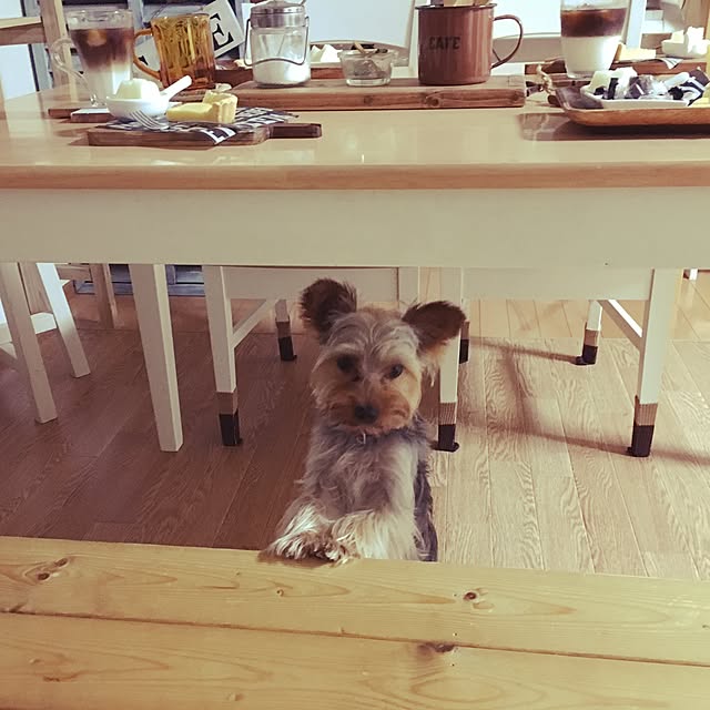 mayuoさんの実例写真