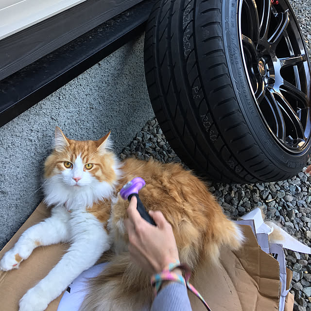 satoshi0924さんの実例写真